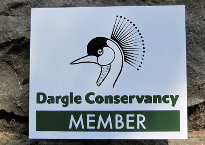 plaque